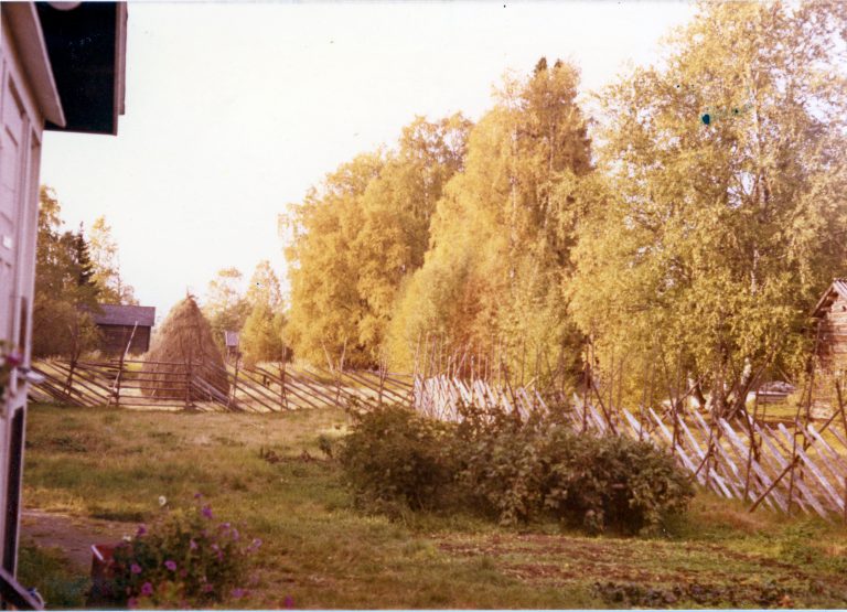 Vanhan aitan seinää ja pihanäkymä. Vanha värivalokuva.